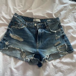 Zara “The New Short” Shorts